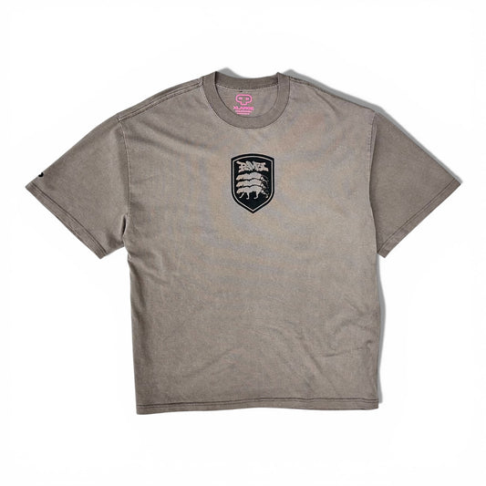 PTW UNITED ASHY TEE